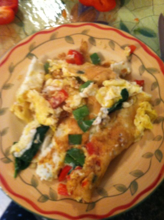 1 egg, 2 whites and red peppers, green peppers, tomato and spinach